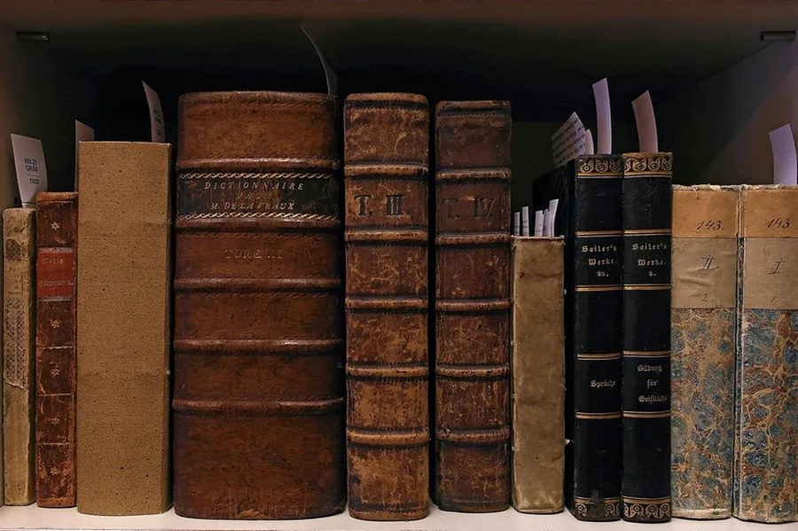 A series of books in leather and cardboard bindings from “Beethoven's Library”.